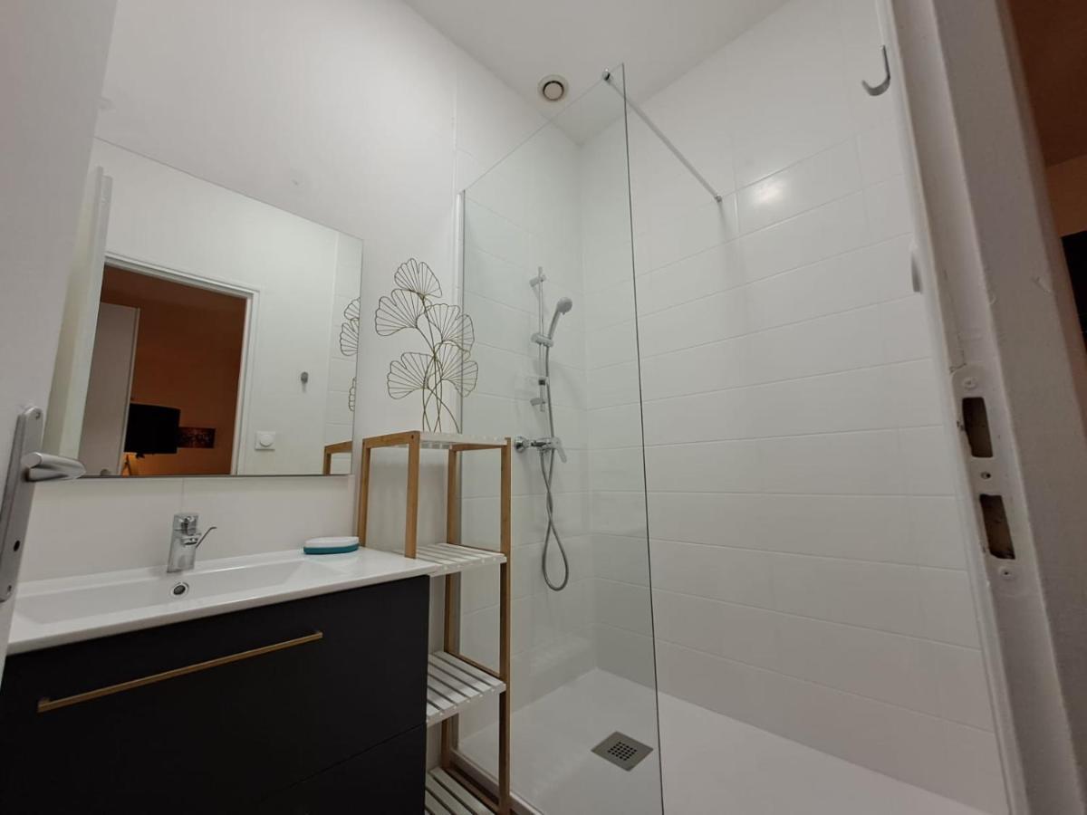 Le Saint Jean , Centre Historique, Wifi, Tout Equipe, Ideal Famille, Business, Ou Simple Escapade Niort Exteriör bild